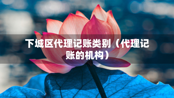 下城區(qū)代理記賬類別(代理記賬的機構(gòu)) 下城區(qū)代理記賬類別(代理記賬的機構(gòu))