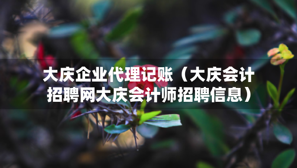 大慶企業(yè)代理記賬（大慶會計(jì)招聘網(wǎng)大慶會計(jì)師招聘信息）