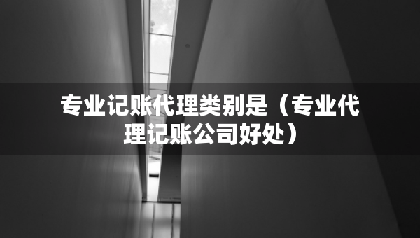 專業(yè)記賬代理類別是（專業(yè)代理記賬公司好處）