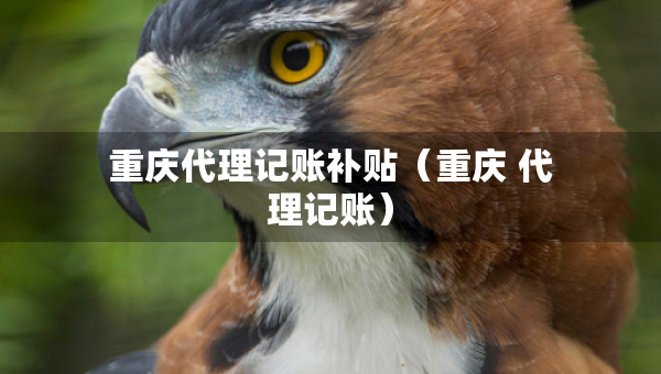 重慶代理記賬補貼（重慶 代理記賬）