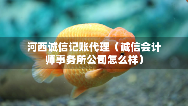 河西誠信記賬代理(誠信會計師事務所公司怎么樣) 河西誠信記賬代理(誠信會計師事務所公司怎么樣)