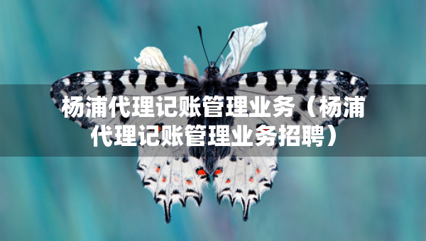 楊浦代理記賬管理業(yè)務(wù)（楊浦代理記賬管理業(yè)務(wù)招聘）