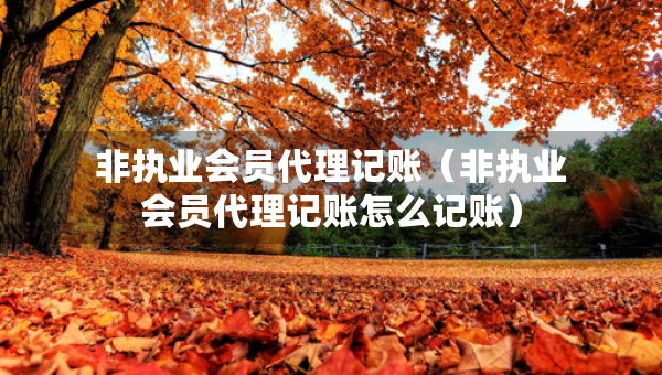 非執(zhí)業(yè)會員代理記賬（非執(zhí)業(yè)會員代理記賬怎么記賬）