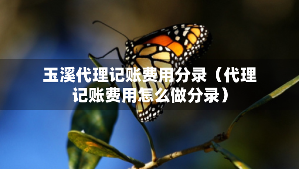 玉溪代理記賬費用分錄（代理記賬費用怎么做分錄）