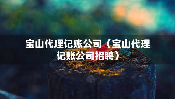 寶山代理記賬公司（寶山代理記賬公司招聘）