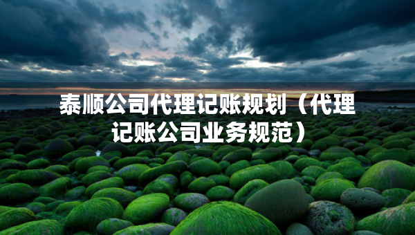 泰順公司代理記賬規(guī)劃（代理記賬公司業(yè)務(wù)規(guī)范）