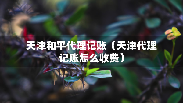 天津和平代理記賬（天津代理記賬怎么收費）