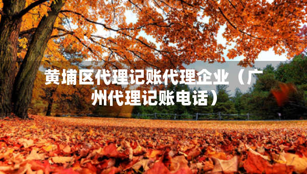 黃埔區(qū)代理記賬代理企業(yè)（廣州代理記賬電話）