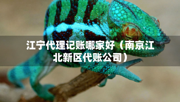 江寧代理記賬哪家好（南京江北新區(qū)代賬公司）