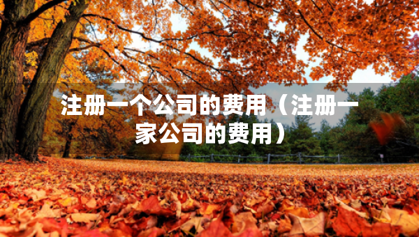 注冊一個公司的費用(注冊一家公司的費用) 注冊一個公司的費用(注冊一家公司的費用)