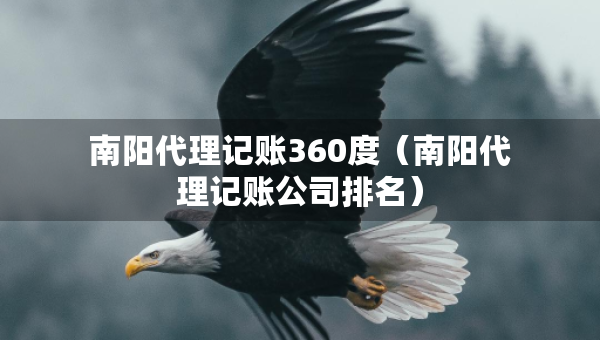 南陽(yáng)代理記賬360度（南陽(yáng)代理記賬公司排名）