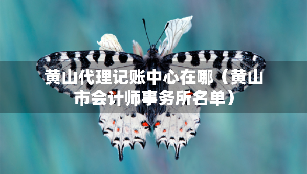 黃山代理記賬中心在哪（黃山市會計師事務(wù)所名單）