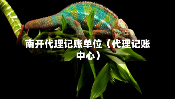 南開(kāi)代理記賬單位（代理記賬中心）