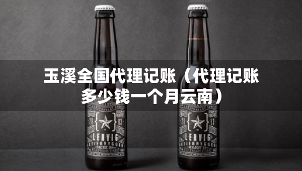 玉溪全國代理記賬（代理記賬多少錢一個(gè)月云南）