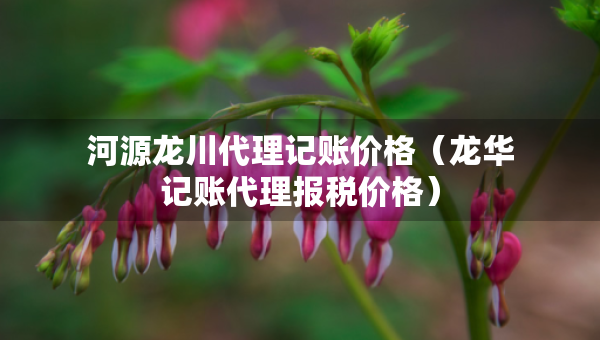 河源龍川代理記賬價(jià)格（龍華記賬代理報(bào)稅價(jià)格）