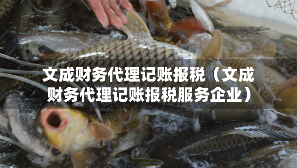 文成財(cái)務(wù)代理記賬報(bào)稅（文成財(cái)務(wù)代理記賬報(bào)稅服務(wù)企業(yè)）