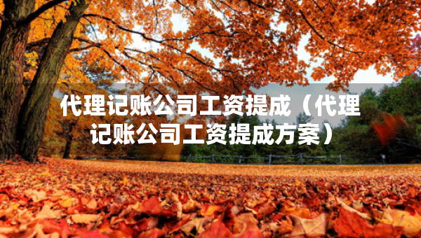 代理記賬公司工資提成（代理記賬公司工資提成方案）