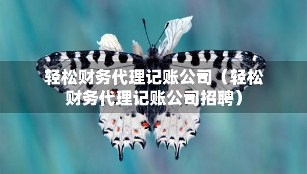 輕松財務代理記賬公司（輕松財務代理記賬公司招聘）