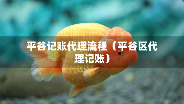 平谷記賬代理流程（平谷區(qū)代理記賬）