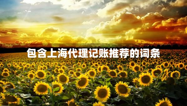 包含上海代理記賬推薦的詞條