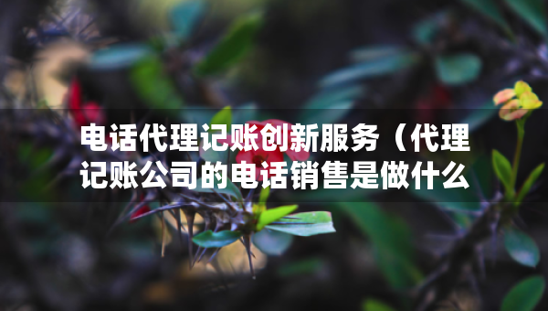 電話代理記賬創(chuàng)新服務(wù)（代理記賬公司的電話銷售是做什么的）