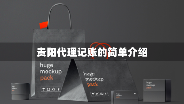 貴陽代理記賬的簡單介紹