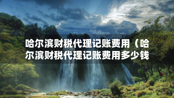 哈爾濱財(cái)稅代理記賬費(fèi)用（哈爾濱財(cái)稅代理記賬費(fèi)用多少錢(qián)）