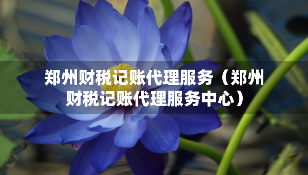 鄭州財(cái)稅記賬代理服務(wù)（鄭州財(cái)稅記賬代理服務(wù)中心）