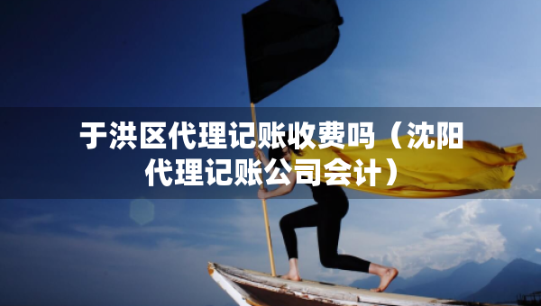 于洪區(qū)代理記賬收費嗎（沈陽代理記賬公司會計）