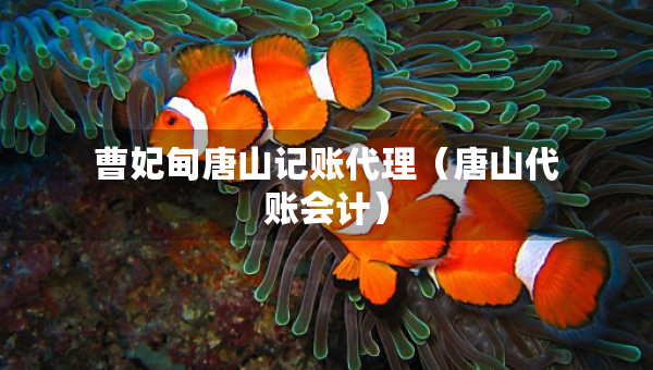 曹妃甸唐山記賬代理（唐山代賬會計）