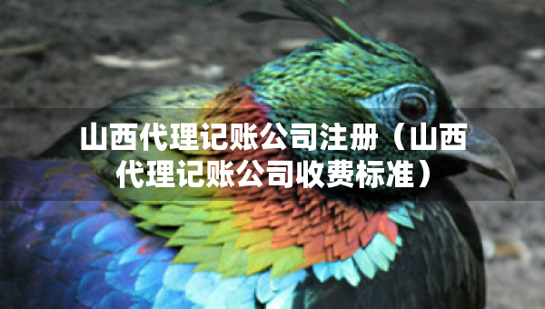 山西代理記賬公司注冊(cè)（山西代理記賬公司收費(fèi)標(biāo)準(zhǔn)）