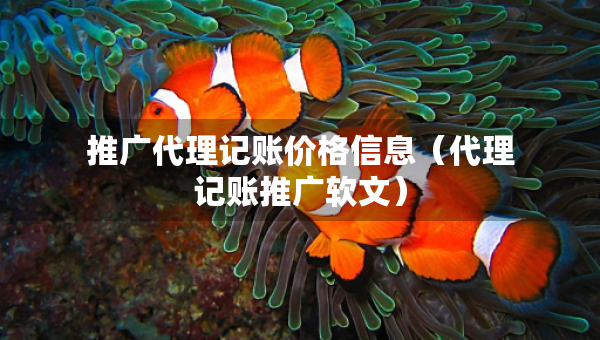推廣代理記賬價格信息（代理記賬推廣軟文）