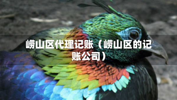 嶗山區(qū)代理記賬（嶗山區(qū)的記賬公司）