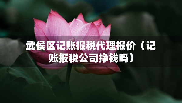 武侯區(qū)記賬報稅代理報價（記賬報稅公司掙錢嗎）