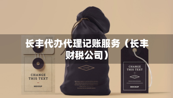 長豐代辦代理記賬服務(wù)(長豐財稅公司) 長豐代辦代理記賬服務(wù)(長豐財稅公司)