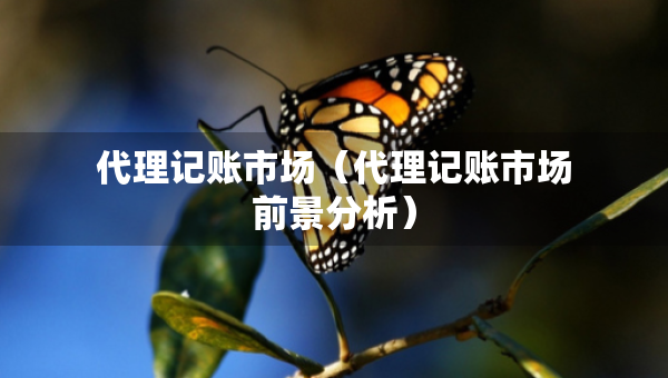 代理記賬市場（代理記賬市場前景分析）