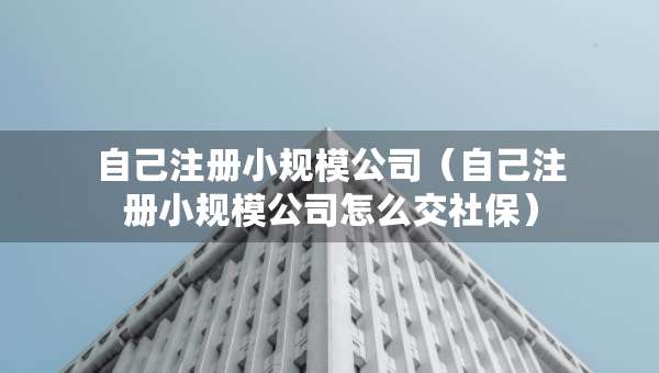 自己注冊小規(guī)模公司（自己注冊小規(guī)模公司怎么交社保）