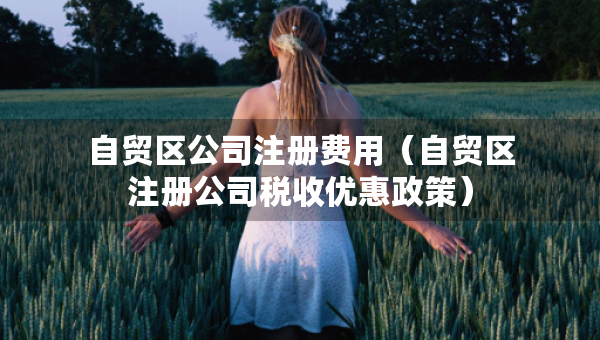 自貿(mào)區(qū)公司注冊(cè)費(fèi)用(自貿(mào)區(qū)注冊(cè)公司稅收優(yōu)惠政策) 自貿(mào)區(qū)公司注冊(cè)費(fèi)用(自貿(mào)區(qū)注冊(cè)公司稅收優(yōu)惠政策)