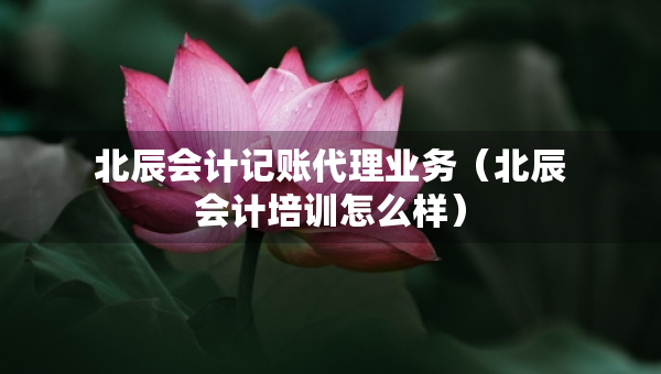 北辰會(huì)計(jì)記賬代理業(yè)務(wù)(北辰會(huì)計(jì)培訓(xùn)怎么樣) 北辰會(huì)計(jì)記賬代理業(yè)務(wù)(北辰會(huì)計(jì)培訓(xùn)怎么樣)