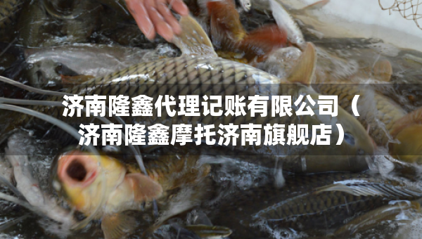濟(jì)南隆鑫代理記賬有限公司（濟(jì)南隆鑫摩托濟(jì)南旗艦店）
