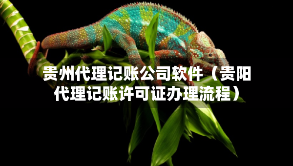 貴州代理記賬公司軟件（貴陽(yáng)代理記賬許可證辦理流程）