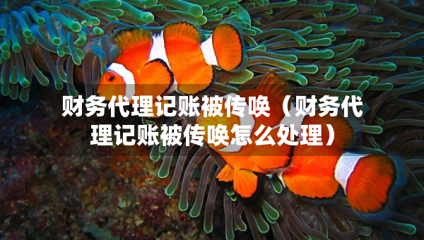 財(cái)務(wù)代理記賬被傳喚（財(cái)務(wù)代理記賬被傳喚怎么處理）