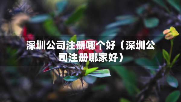 深圳公司注冊哪個好（深圳公司注冊哪家好）