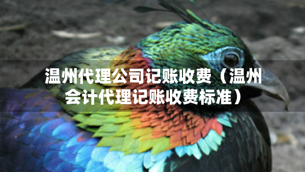溫州代理公司記賬收費（溫州會計代理記賬收費標準）