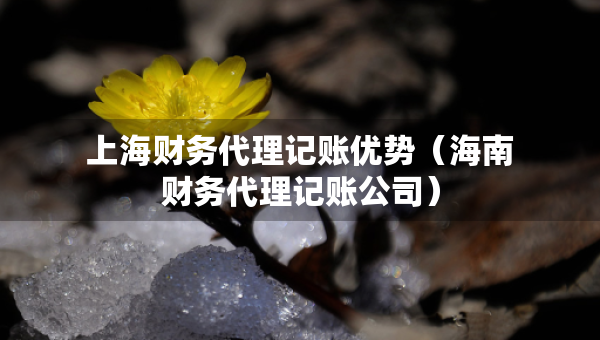 上海財務代理記賬優(yōu)勢（海南財務代理記賬公司）