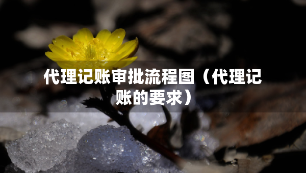 代理記賬審批流程圖（代理記賬的要求）