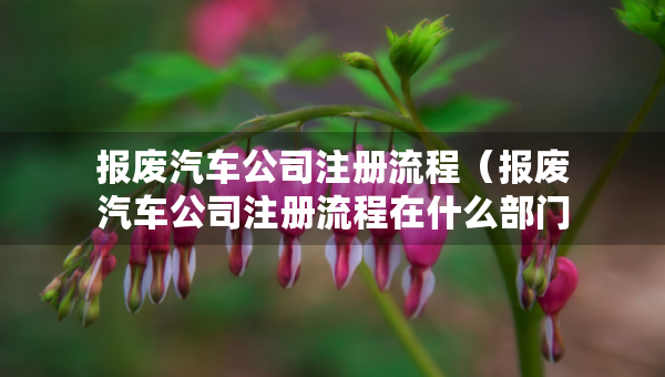 報廢汽車公司注冊流程（報廢汽車公司注冊流程在什么部門）