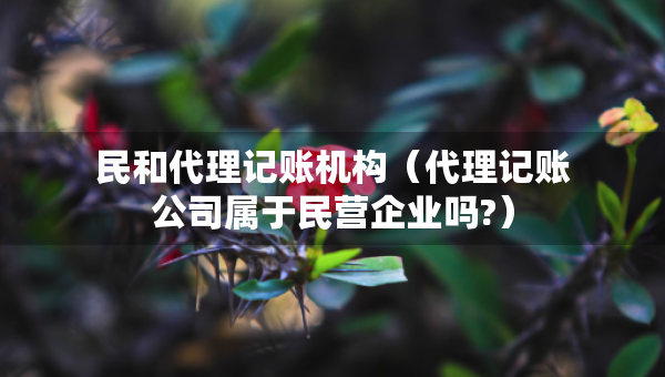民和代理記賬機(jī)構(gòu)（代理記賬公司屬于民營企業(yè)嗎?）