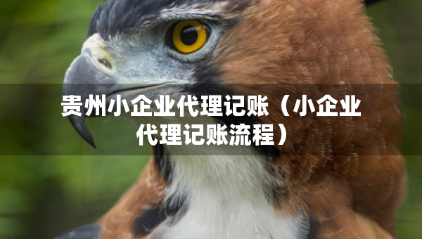 貴州小企業(yè)代理記賬（小企業(yè)代理記賬流程）