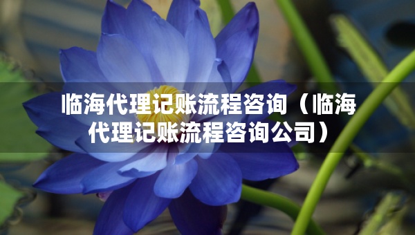 臨海代理記賬流程咨詢（臨海代理記賬流程咨詢公司）